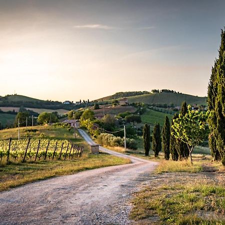 Montalto delle Marche Recchi Franceschini Bike Hotel Last - Minute - Availability מראה חיצוני תמונה