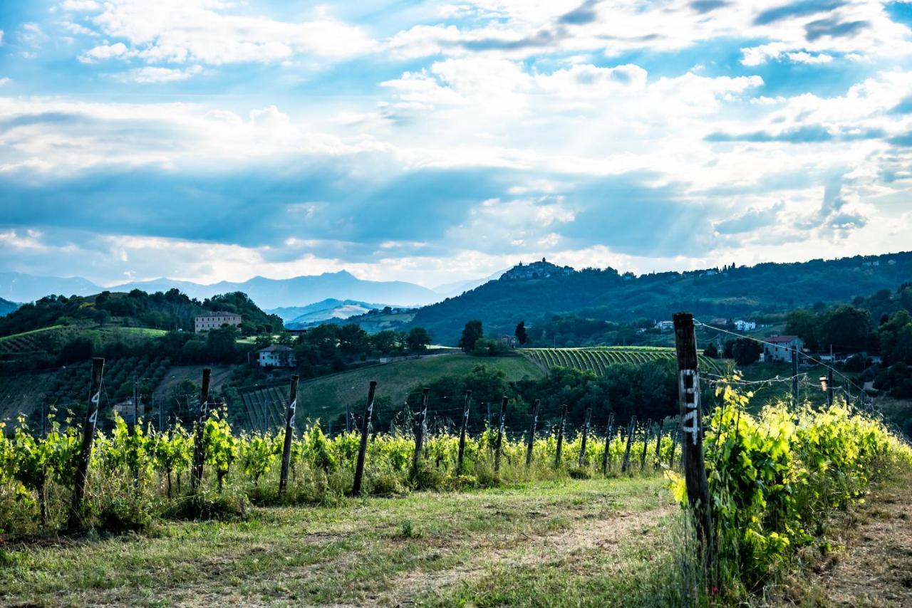 Montalto delle Marche Recchi Franceschini Bike Hotel Last - Minute - Availability מראה חיצוני תמונה