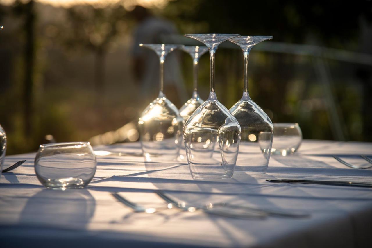 Montalto delle Marche Recchi Franceschini Bike Hotel Last - Minute - Availability מראה חיצוני תמונה