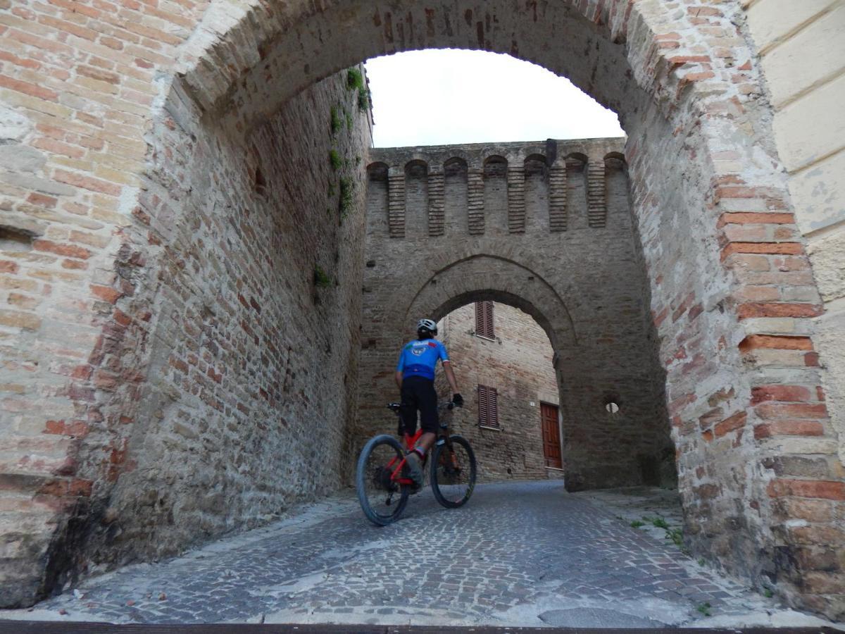 Montalto delle Marche Recchi Franceschini Bike Hotel Last - Minute - Availability מראה חיצוני תמונה