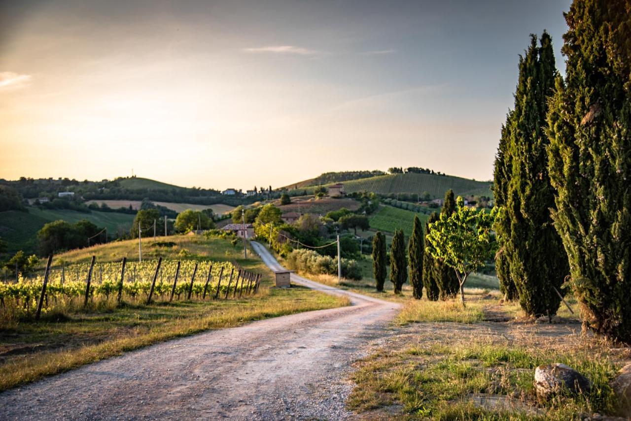 Montalto delle Marche Recchi Franceschini Bike Hotel Last - Minute - Availability מראה חיצוני תמונה