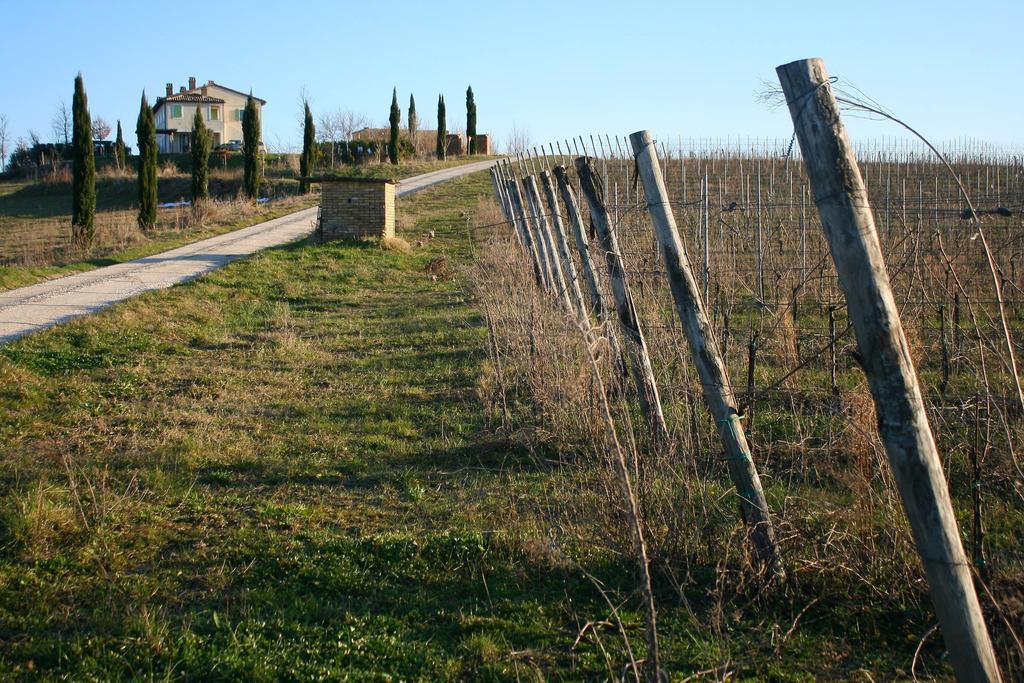 Montalto delle Marche Recchi Franceschini Bike Hotel Last - Minute - Availability מראה חיצוני תמונה