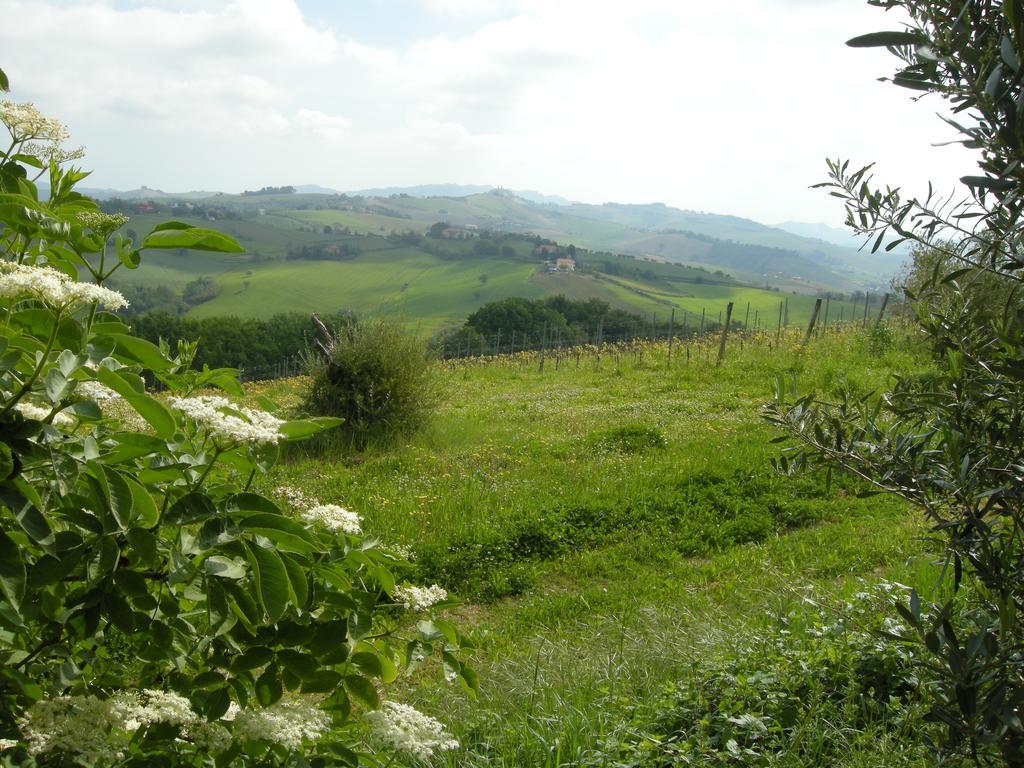Montalto delle Marche Recchi Franceschini Bike Hotel Last - Minute - Availability מראה חיצוני תמונה