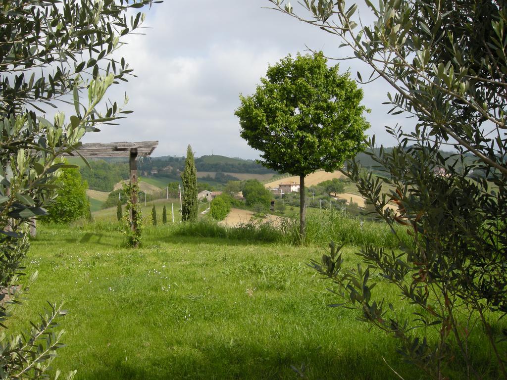 Montalto delle Marche Recchi Franceschini Bike Hotel Last - Minute - Availability מראה חיצוני תמונה